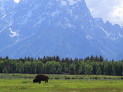 Grand Teton National Park