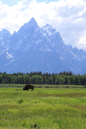 Grand Teton National Park