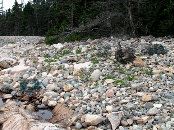 Acadia National Park