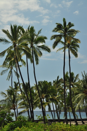Pu`uhonua O Honaunau National Historical Park