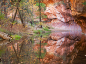 Coconino National Forest