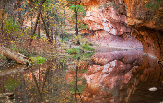 Coconino National Forest