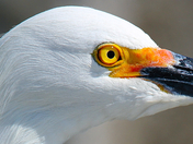 Canaveral National Seashore