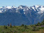 Olympic National Park