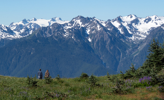 Olympic National Park