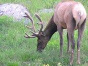 Rocky Mountain National Park