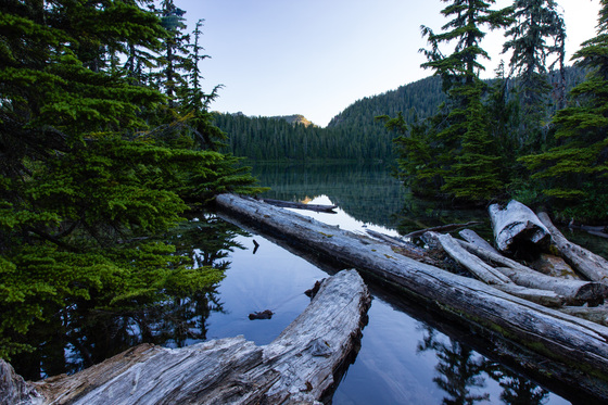 Mount Rainier National Park