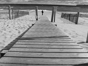 Sleeping Bear Dunes