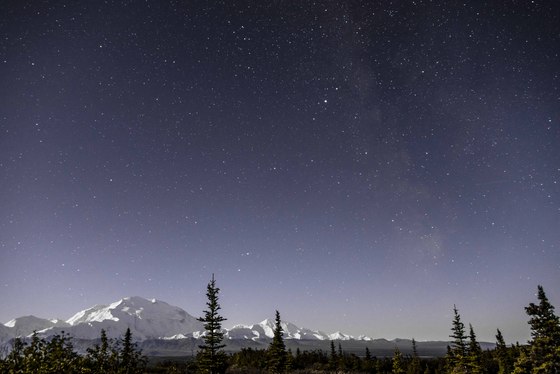 Denali National Park