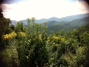 Blue Ridge Parkway