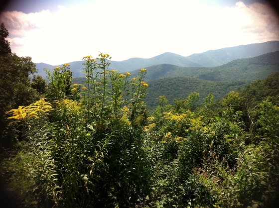Blue Ridge Parkway