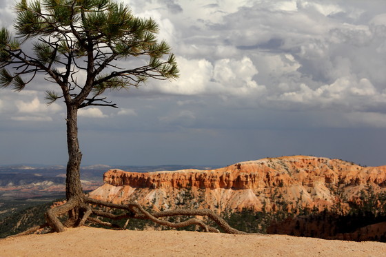 Bryce Canyon National Park
