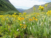 San Juan National Forest