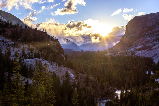Yosemite National Park