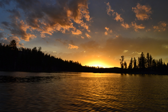 Antalope Lake CA