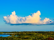 Canaveral National Seashore
