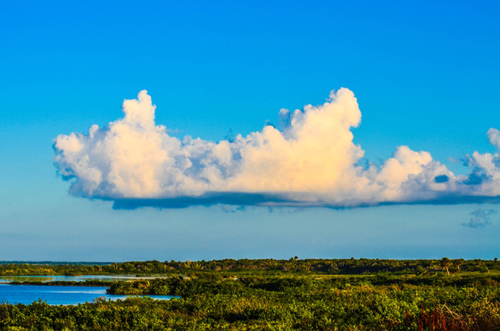 Canaveral National Seashore
