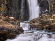 Inyo National forest