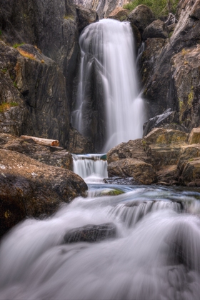 Inyo National forest