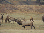Rocky Mountain National Park