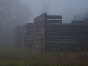 Forgotten in the Fog