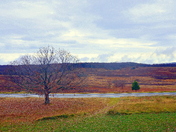 Shenandoah National Park