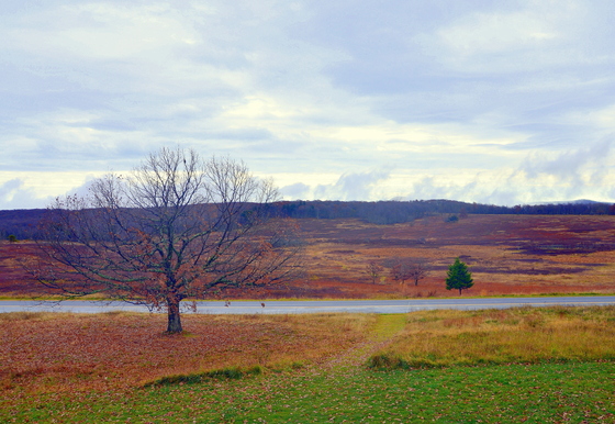 Shenandoah National Park