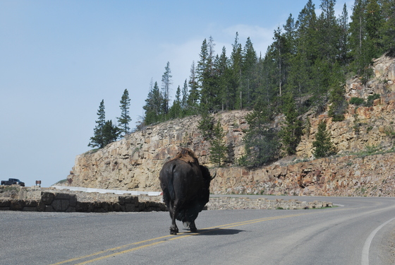 Yellowstone National Park
