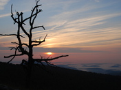 Shenandoah National Park