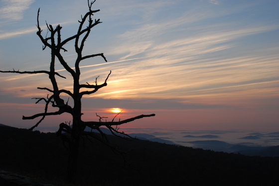 Shenandoah National Park