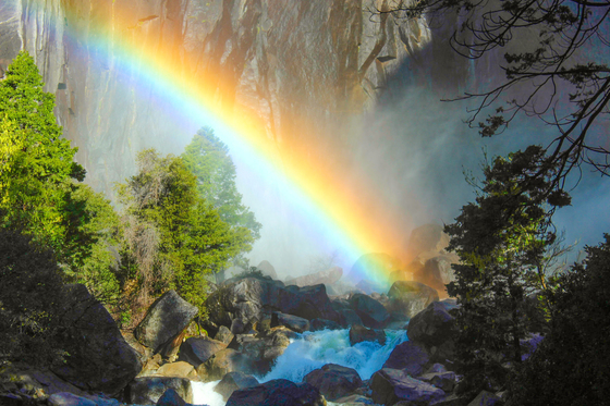 Yosemite National Park