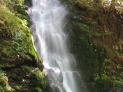 Olympic National Park