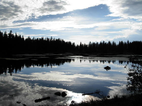San Juan National Forest