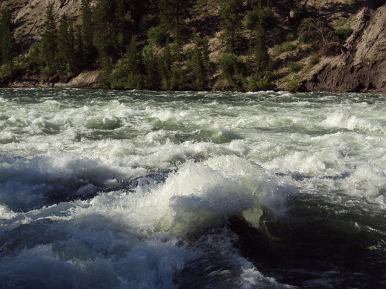Yellowstone National Park