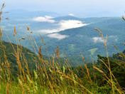 Shenandoah National Park