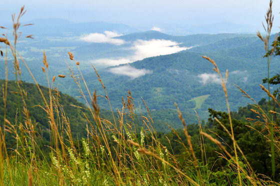 Shenandoah National Park