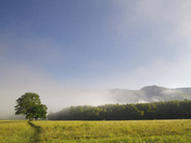 Great Smoky Mountains National Park