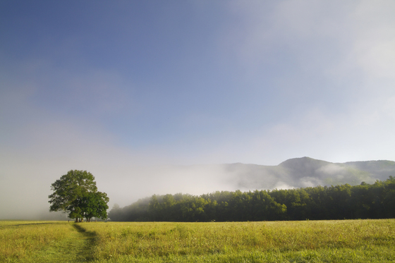 Great Smoky Mountains National Park