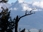 National Bison Range