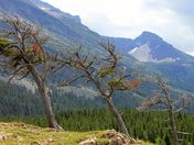Glacier National Park 