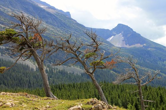 Glacier National Park 