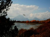 Teton National Park
