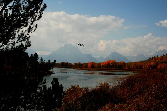 Teton National Park