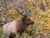 Rocky Mountain National Park