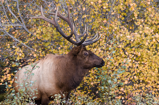 Rocky Mountain National Park