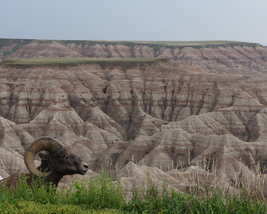 Badlands National Park