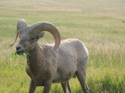 Badlands National Park