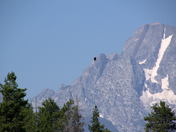 Grand Tetons