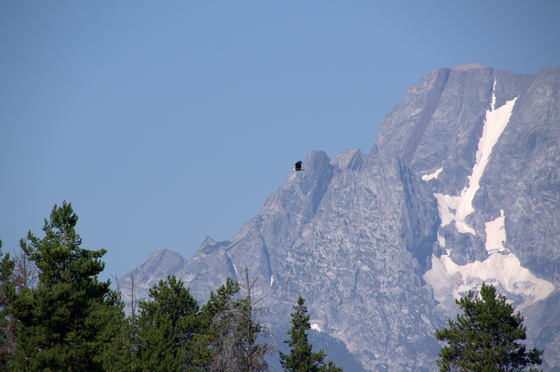 Grand Tetons