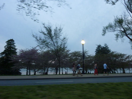 Tidal Bassin